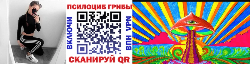купить наркоту  Сысерть  Галлюциногенные грибы Psilocybe 